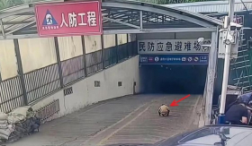 Ông nội đón cháu trai tan học nhưng không về nhà, camera ghi lại cảnh tượng kinh hoàng