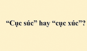 Cục súc hay cục xúc là đúng chính tả? 90% người dùng sai mà không biết