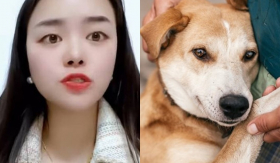 Cô gái quyết định hủy hôn, trả lại toàn bộ sính lễ sau khi thấy hành động của nhà trai với một chú chó