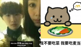 Nhìn lại các mốc thời gian trong câu chuyện của chàng trai Mèo Béo, đâu mới là sự thật?