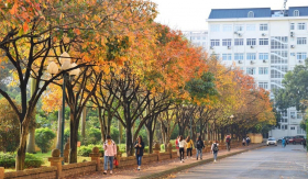 Những trường Đại học miễn 100% học phí còn được trợ cấp và học bổng, yên tâm học hành không lo tiền nong