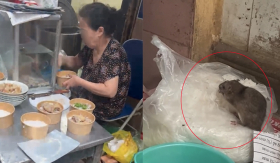 Xử phạt hành chính 2,25 triệu đồng và đóng cửa quán có con chuột ngang nhiên ngồi ăn bún