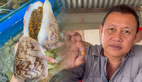 Mua ốc giác về làm mồi nhắm, người đàn ông 54 tuổi may mắn nhặt được viên ngọc 400 triệu