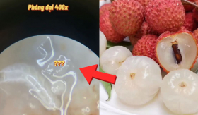 Soi quả vải dưới kính hiển vi thấy 'vật lạ' cử động, 90% không biết 'bí mật' này