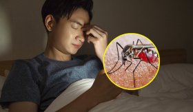 Vì sao tắt đèn nghe tiếng muỗi vo ve nhưng khi bật đèn lại không thấy?