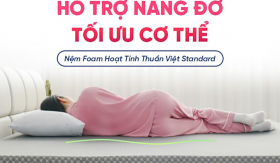 Chọn Nệm Đúng Cách: Hiểu Rõ Về Cao Su Non và Cao Su Thiên Nhiên