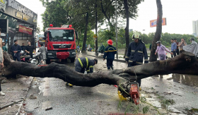 Siêu bão đổ bộ khiến Hà Nội mưa to, cây ngã gây thương vong