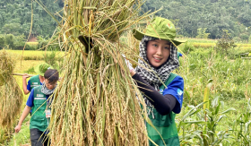 Hoa hậu Bảo Ngọc lấm lem bùn đất, hỗ trợ bà con Tuyên Quang dựng nhà sau bão lũ