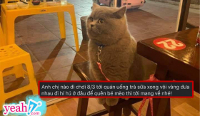 Cặp đôi đi chơi 8/3 bỏ quên “quàng thượng” ở quán trà sữa khiến dân mạng “cười ra nước mắt”