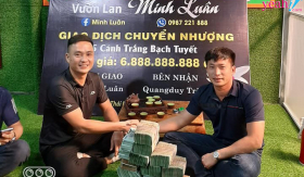 Ước mơ nghìn tỷ đồng từ hoa lan của anh Ngô Minh Luân