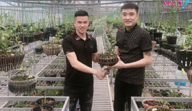 Nghệ nhân Trần Quang Đồng và câu chuyện khởi nghiệp với nghề trồng lan
