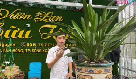 Ông chủ vườn lan 8X Nguyễn Hữu Tân và mơ ước về một vườn lan trăm loài