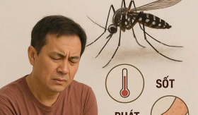 WHO khuyến cáo về nguy cơ bệnh chikungunya với Việt Nam