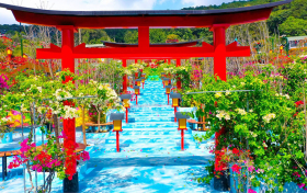 Vườn Thượng Uyển Bay tại Đà Lạt bị cư dân mạng phản đối kịch liệt vì thiết kế màu sắc như 'rạp xiếc'