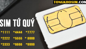 Tại sao nên chọn mua sim tứ quý tại Tổng Kho Sim