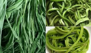 Bật mí loại rau đắt hơn thịt, bổ ngang nhân sâm, Việt Nam có nhiều nhưng ít người biết để ăn