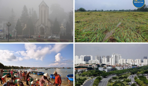 MeteoViet: Nỗ lực đưa dự báo thời tiết chi tiết đến cấp địa phương bằng AI và dữ liệu chính thống.