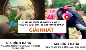 Dàn cast 'Gia đình Haha' lập cú đúp giải nhất cuộc thi 'Ngừng cưỡi voi - Để voi trở về rừng'