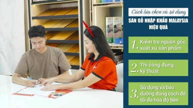 Sàn gỗ Malaysia có phù hợp với khí hậu Việt Nam