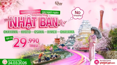 Chưa tới 30 triệu đồng, ngắm trọn mùa hoa anh đào Nhật Bản 2026