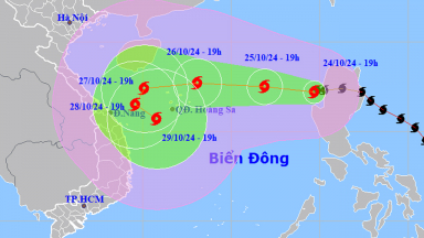 Hai yếu tố khiến bão Trà Mi có đường đi dị thường, phức tạp