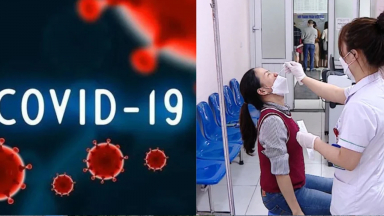 Bộ Y tế chỉ đạo Hỏa Tốc phòng chống dịch bệnh Covid-19, Sốt Xuất huyết