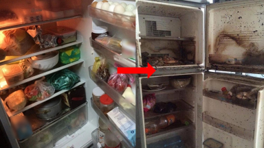 Tủ lạnh có 2 vị trí dễ bị bẩn ngang với bồn cầu, ít người chú ý để vệ sinh khiến vi khuẩn tụ đầy