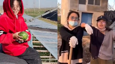 Đôi bạn thân 30 tuổi rủ nhau nghỉ việc thành phố về quê trồng dưa hấu: Không còn deadline nhưng stress vì tăng cân
