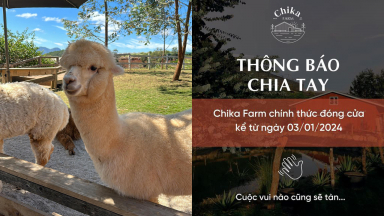 Vì sao Chika Farm ở Đà Lạt đóng cửa dù rất đông khách tham quan?