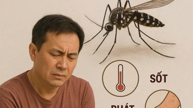 WHO khuyến cáo về nguy cơ bệnh chikungunya với Việt Nam