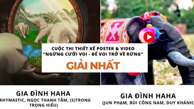 Dàn cast 'Gia đình Haha' lập cú đúp giải nhất cuộc thi 'Ngừng cưỡi voi - Để voi trở về rừng'