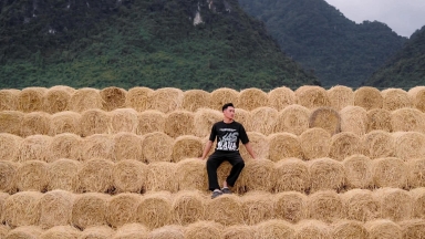 Thú vị điểm 'check-in' tết với 400 cuộn rơm tại Quảng Trị