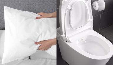 Vỏ gối 1 tuần không giặt chứa nhiều vi khuẩn hơn bệ ngồi bồn cầu