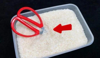 Cắm 1 cây kéo vào thùng gạo, hiệu quả rất tuyệt vời, nhiều người tiếc vì không biết sớm hơn