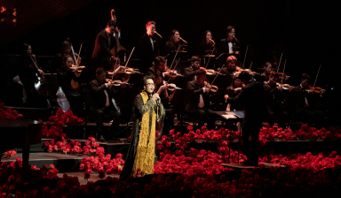 Hà Anh Tuấn chinh phục Dolby Theatre cùng 3.400 khán giả