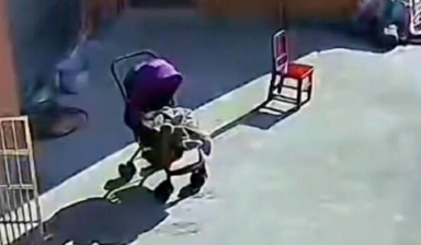 Đưa cháu sơ sinh ra trước nhà tắm nắng, bà ngoại suýt hối hận cả đời vì một phút lơ là