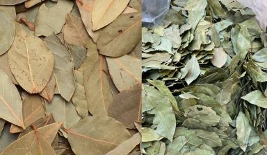 Loại lá của Việt Nam không ai để ý nhưng “đắt như vàng” 2 triệu đồng/kg tại Mỹ