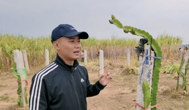 Trang trại bạc tỷ rộng 14 ha của Quang Linh Vlog tại Châu Phi giờ ra sao?