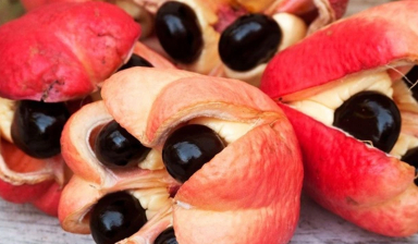 Những thực phẩm nguy hiểm nhất thế giới, có thứ quen thuộc với người Việt