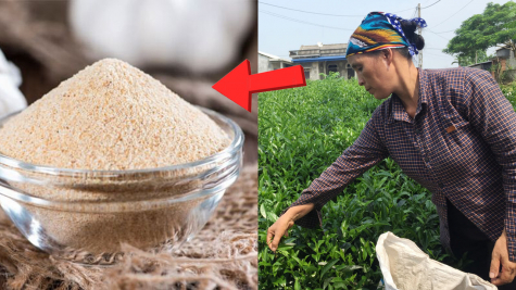 Một gia vị được ví như 'thần dược' của người nghèo, bệnh vặt chỉ cần ăn vào sẽ khỏi