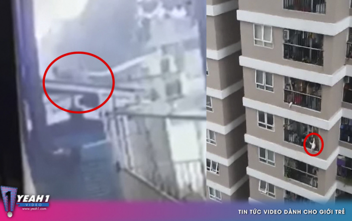 Hé lộ video cận cảnh khoảnh khắc anh Mạnh leo lên mái nhà, nhanh tay đỡ cháu bé 2 tuổi rơi từ tầng 12