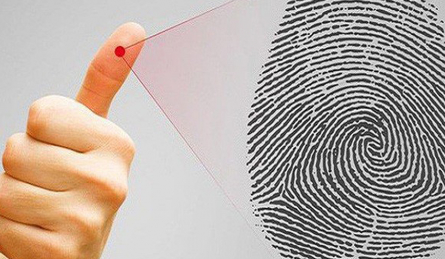 Dự đoán tướng số thông qua hoa tay biết ngay giàu sang hay nghèo khổ