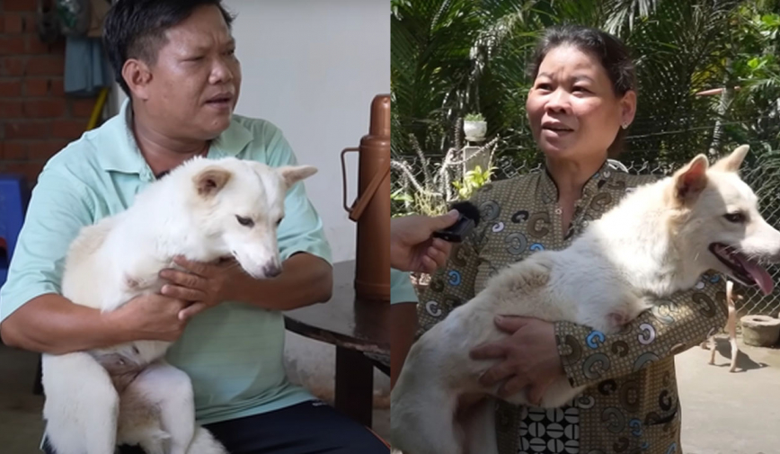 Mang cún lạ bị bỏ rơi bên đường về nuôi, cặp vợ chồng chạy xe ôm bỗng đổi đời sau 2 năm