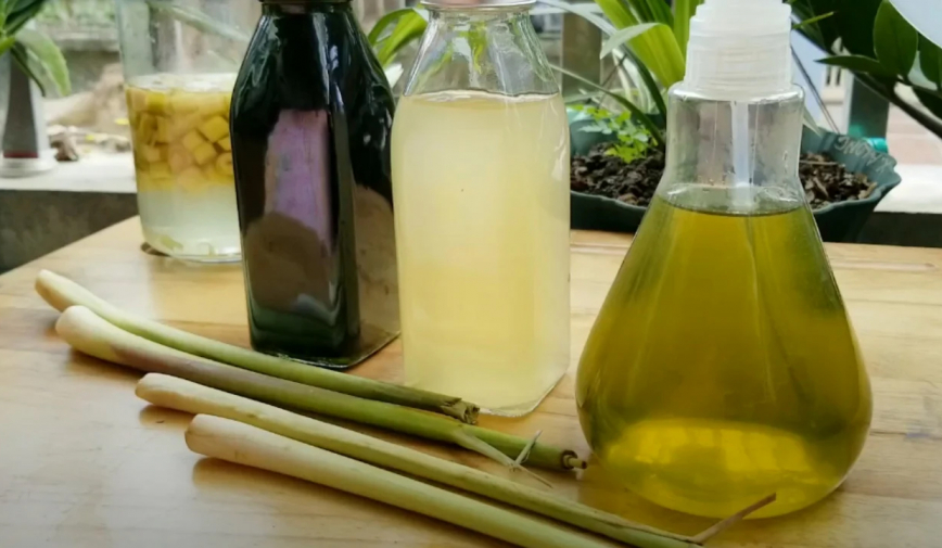 Ngâm sả với giấm trắng, có ngay đặc biệt, giải quyết nhiều vấn đề trong nhà