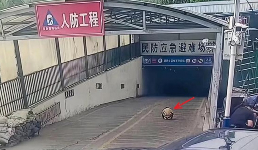 Ông nội đón cháu trai tan học nhưng không về nhà, camera ghi lại cảnh tượng kinh hoàng