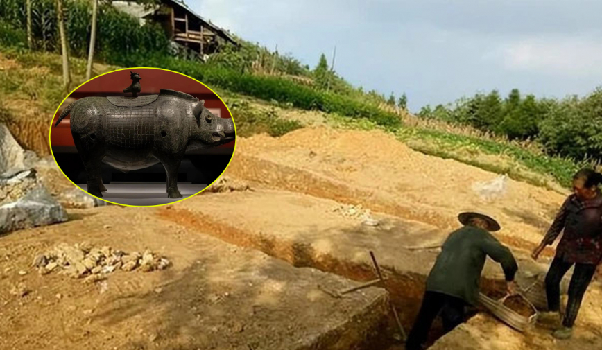 2 cha con đào đất phát hiện lợn đồng, bủn rủn nghe có người mua bằng “1 căn nhà”, chuyên gia đến liền “tá hỏa”