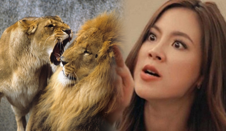 Tại sao người ta ví phụ nữ đanh đá như “Sư tử Hà Đông”, nguồn gốc câu nói này từ đâu?