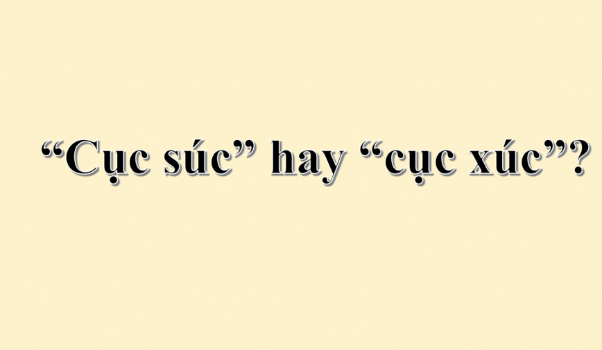 Cục súc hay cục xúc là đúng chính tả? 90% người dùng sai mà không biết