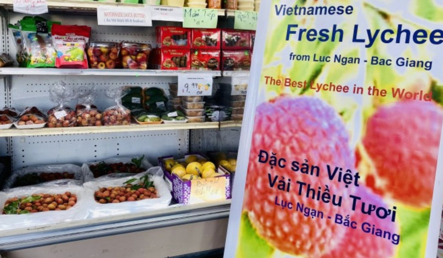 Khác với trong nước, vải thiều Bắc Giang bán 'cháy hàng' tại Mỹ dù có giá 3,2 triệu đồng/5kg