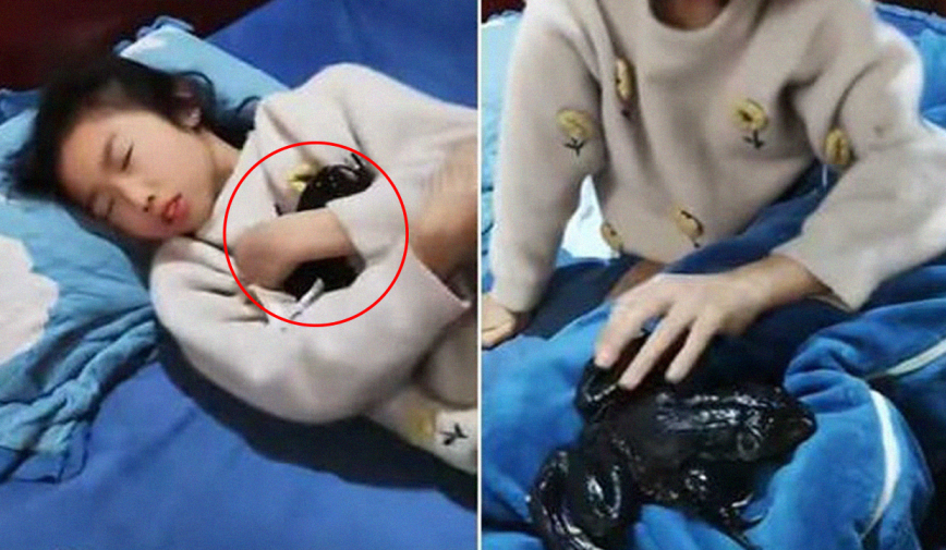Nghe tiếng ếch kêu kỳ lạ trong phòng con gái, bố mẹ ập vào mới phát hiện cảnh tượng đáng sợ